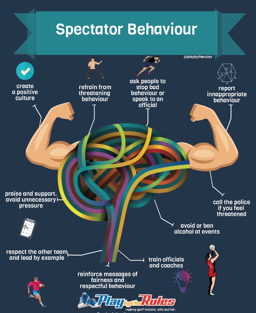 Spectator Behaviour infographic