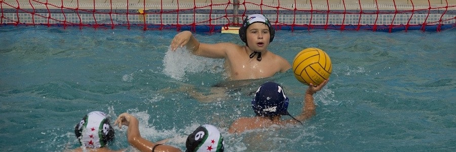 Kids playing water polo